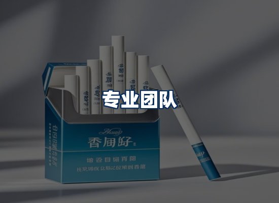 专业团队